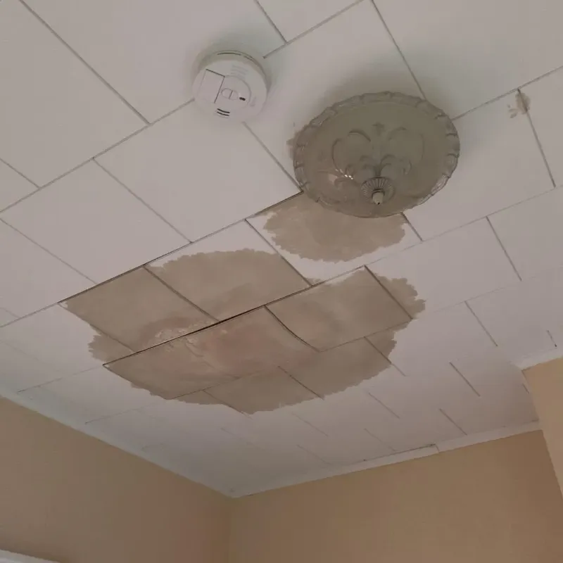 Ceiling Water Damage Repair in Harris Hill, NY