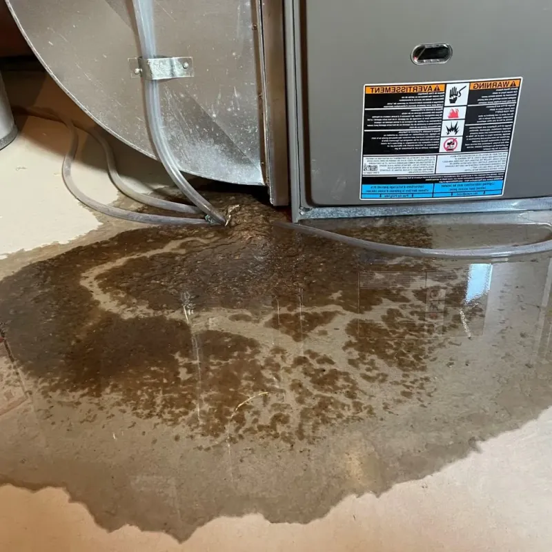 Pipe Burst and Leak Restoration in Harris Hill, NY